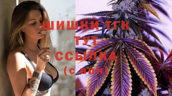 твердый Арсеньев